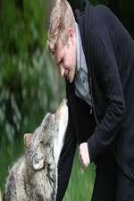 Watch Wolfblood Uncovered Zoechip