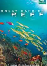 Watch Great Barrier Reef Zoechip