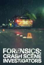 Watch Forensics: Crash Scene Investigators Zoechip