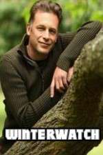 Watch Winterwatch Zoechip