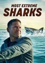 Watch Most Extreme Sharks Zoechip
