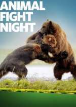 Watch Animal Fight Night Zoechip