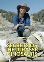 Watch Secrets of the Jurassic Dinosaurs Zoechip