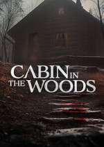 Watch Cabin in the Woods Zoechip