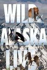 Watch Wild Alaska Live Zoechip