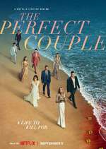 Watch The Perfect Couple Zoechip
