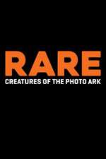 Watch Rare: Creatures of the Photo Ark Zoechip