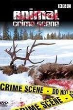 Watch Animal Crime Scene Zoechip