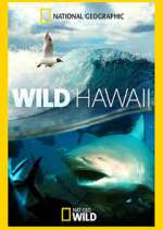 Watch Wild Hawaii Zoechip