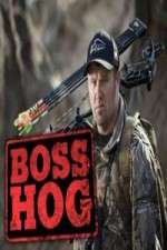 Watch Boss Hog Zoechip