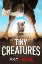 Watch Tiny Creatures Zoechip