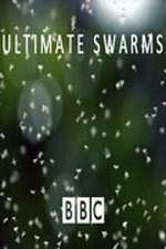 Watch Ultimate Swarms Zoechip