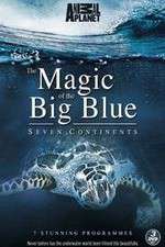 Watch The Magic of the Big Blue Zoechip