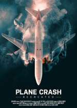 Watch Plane Crash Recreated Zoechip