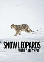 Watch Snow Leopards with Dan O\'Neill Zoechip