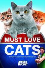 Watch Must Love Cats Zoechip