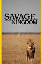 Watch Savage Kingdom Zoechip