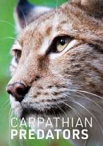 Watch Carpathian Predators Zoechip