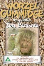 Watch Worzel Gummidge Zoechip