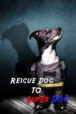 Watch Rescue Dog to Super Dog Zoechip