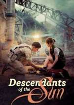 Watch Descendants of the Sun Zoechip