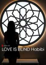 Watch Love is Blind Habibi Zoechip