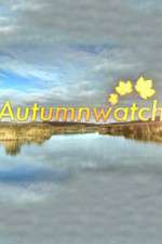 Watch Autumnwatch Zoechip