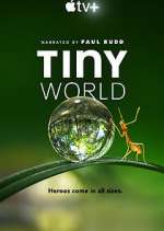 Watch Tiny World Zoechip