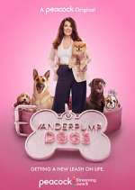 Watch Vanderpump Dogs Zoechip