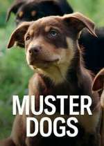 Watch Muster Dogs Zoechip