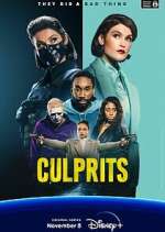 Watch Culprits Zoechip