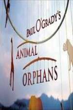 Watch Paul O'Grady's Animal Orphans Zoechip