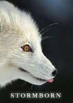 Watch Stormborn Zoechip