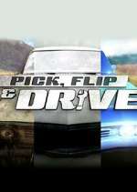 Watch Pick, Flip & Drive Zoechip