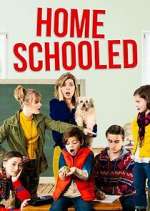 Watch Home-Schooled Zoechip
