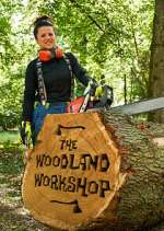 Watch The Woodland Workshop Zoechip