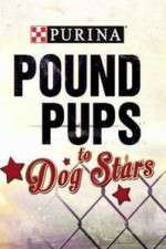 Watch Purina Pound Pups To Dog Stars Zoechip