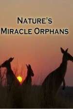 Watch Nature's Miracle Orphans Zoechip