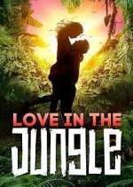 Watch Love in the Jungle Zoechip