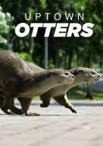 Watch Uptown Otters Zoechip