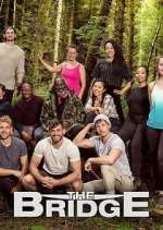 Watch The Bridge Zoechip