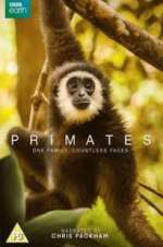 Watch Primates Zoechip