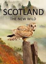 Watch Scotland - The New Wild Zoechip
