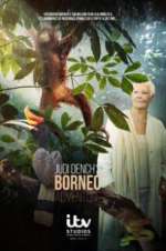 Watch Judi Dench\'s Wild Borneo Adventure Zoechip