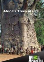 Watch Africa's Trees of Life Zoechip