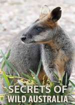 Watch Secrets of Wild Australia Zoechip