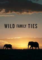 Watch Wild Family Ties Zoechip