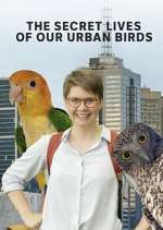 Watch The Secret Lives of Our Urban Birds Zoechip