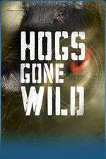 Watch Hogs Gone Wild Zoechip