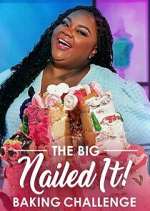 Watch The Big Nailed It! Baking Challenge Zoechip
